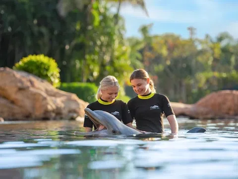 Công viên Discovery Cove: Trải nghiệm bơi cùng cá heo có 1-0-2 tại Mỹ