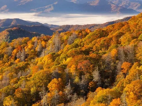 Vườn quốc gia Great Smoky Mountains: Công viên nổi tiếng nhất nhì nước Mỹ
