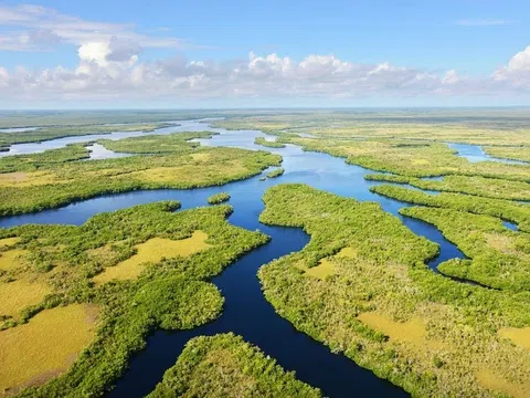 Vườn quốc gia Everglades: Khám phá khu đầm lầy có cá sấu hoang dã tại Mỹ