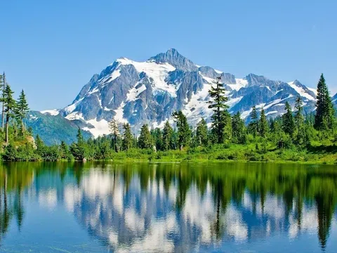 Vườn quốc gia Mount Rainier: Khám phá ngọn núi cao nhất Bắc Mỹ