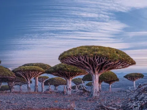 Socotra thuộc nước nào?