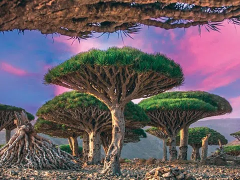 Socotra có an toàn hay không?