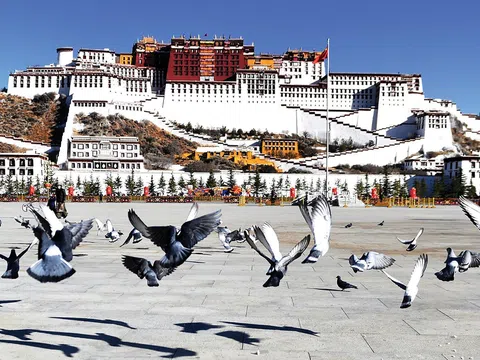 Du lịch Tây Tạng cần chuẩn bị gì? Bí kíp du lịch an toàn và trọn vẹn