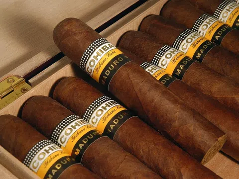 Khám phá Bí ẩn: Xì gà Cuba có gì đặc biệt?