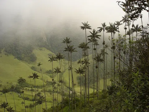 Thời điểm lý tưởng du lịch Madagascar