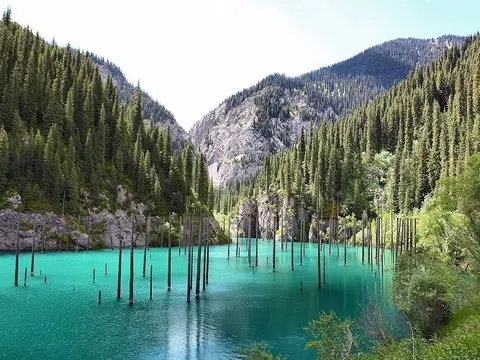 Hồ Kaindy: Hồ nước có vẻ đẹp siêu thực tại Kazakhstan