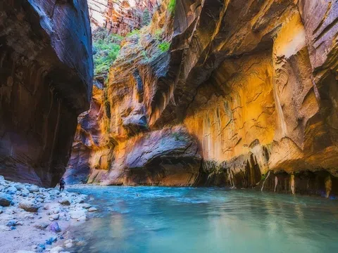 Tour Du Lịch BỜ TÂY HOA KÌ| 10N9Đ | HÀNH TRÌNH KHÁM PHÁ CÁC CÔNG VIÊN QUỐC GIA KÌ VĨ NHẤT NƯỚC MỸ
