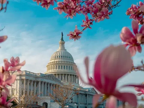 ĐÔNG - TÂY MỸ (MÙA HOA ANH ĐÀO) 10N9Đ - LIÊN MINH