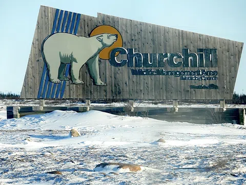 Tour Canada 9N8D | CHURCHILL - BƯỚC VÀO VƯƠNG QUỐC GẤU BẮC CỰC